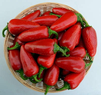 Jalapeño chillies