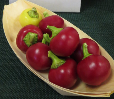 White Cherry chillies