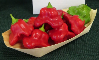 Bishops Crown chillies