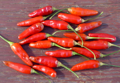 Aji Cirel chillies