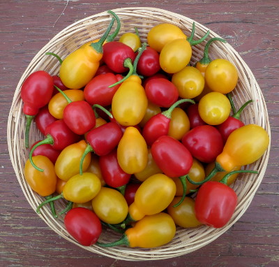 bowl of rocoto chillies